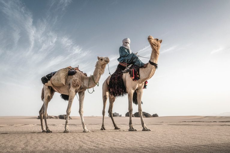 Algeria for First-Time International Travelers