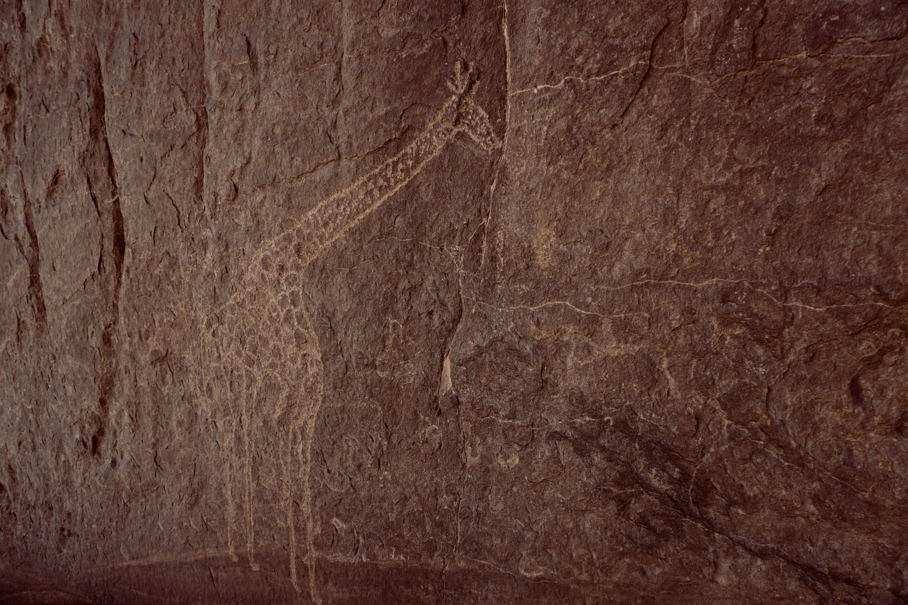 Ancient rock engraving in Ahaggar National Park, Algeria