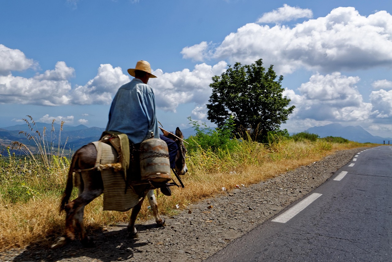 Mountain road through the Kabylie foothills, Algeria